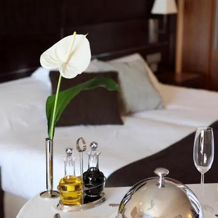 Comfort Deluxe In Centrum Appartement *